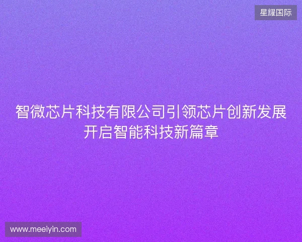 智微芯片科技有限公司引领芯片创新发展开启智能科技新篇章